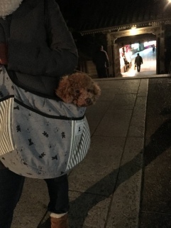 �I���w��