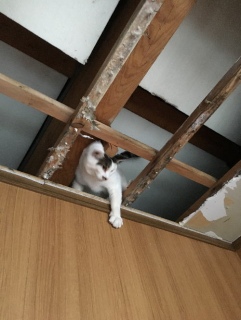 �J�R��