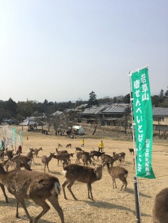 �ޗǂ���ׂ���΂����